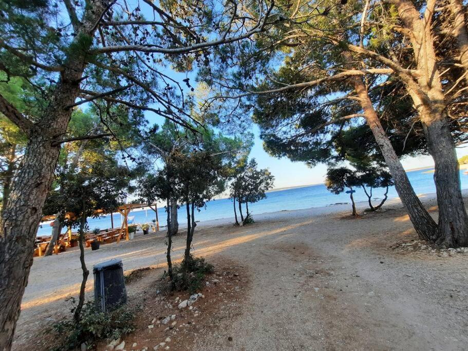 Eva Apartament Šimuni