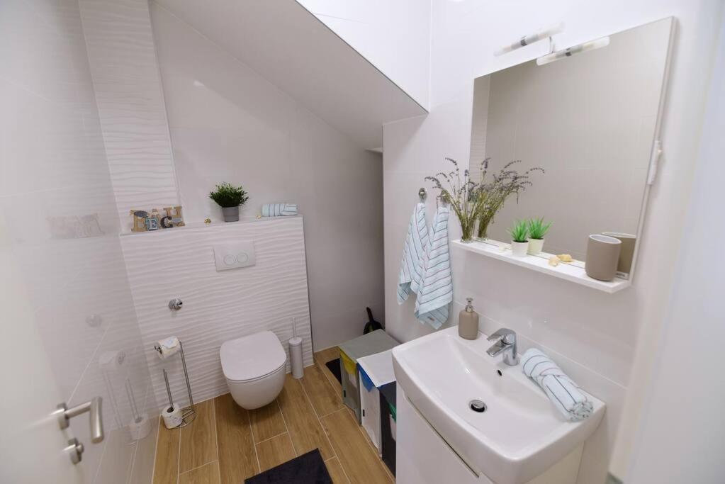 Apartment Eva